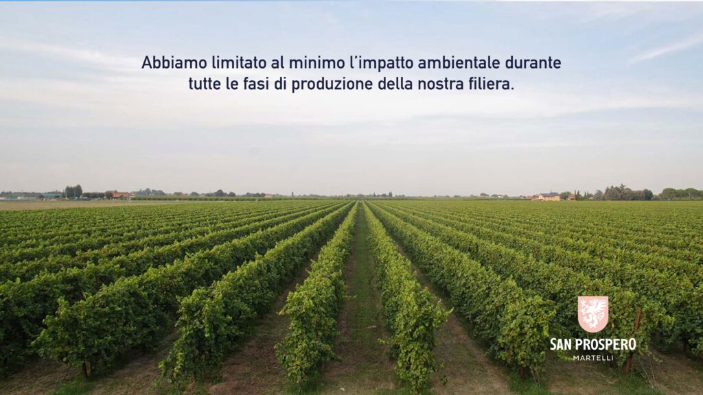 Degustazioni vini Emilia Romagna SLIDE 5